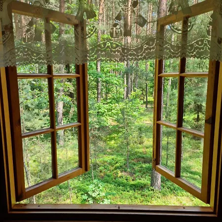 Domek Wilga Vakantiehuis Wilga