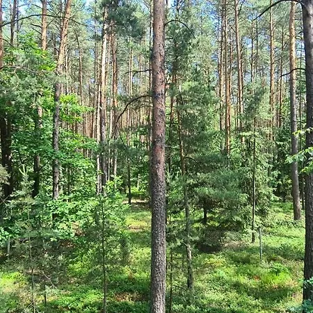 Vakantiehuis Domek Wilga *