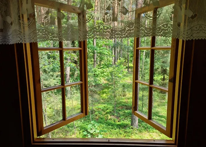 Domek Wilga בית נופש וילגה