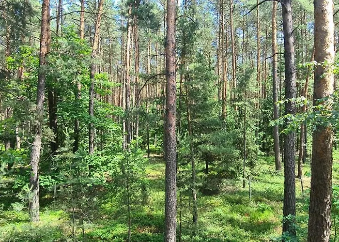 בית נופש Domek Wilga *