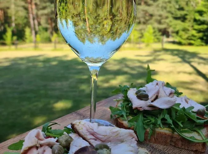 Domek Wilga * וילגה