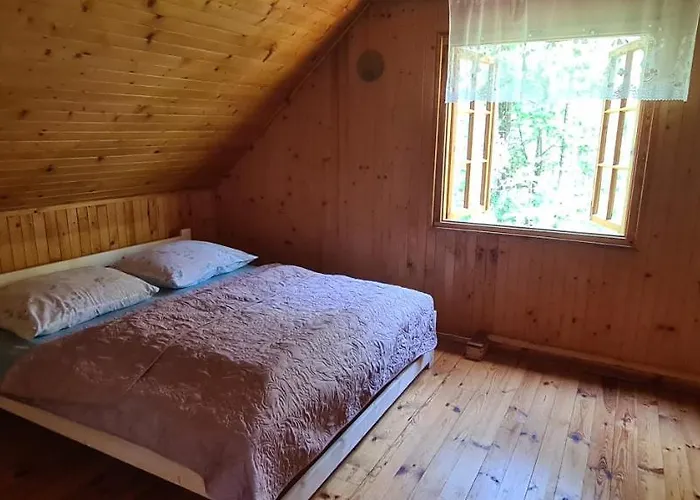 Domek Wilga בית נופש וילגה