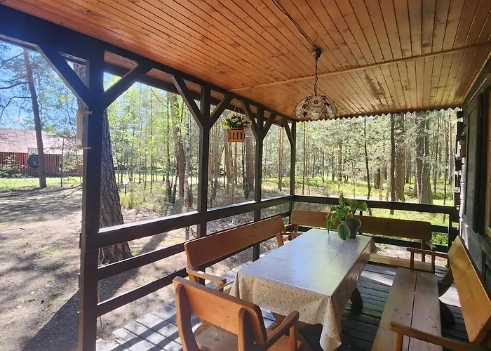 Domek Wilga בית נופש